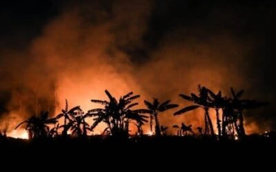 En el 2024 se han registrado en Colombia 143 incendios forestales