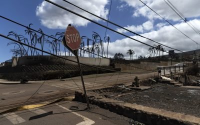 En Hawái creen que aumentarán los muertos por incendios, ya son 96