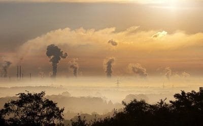 Comenzó la COP26, última esperanza ambiental