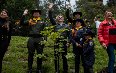 Empresas y Minambiente se unen para sembrar un millón de árboles nativos