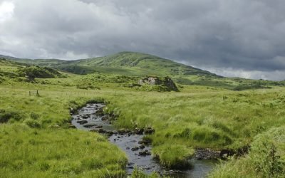 ¿Por qué el Acuerdo de Escazú es tan importante para Colombia?