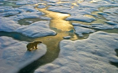 Cambio climático amenaza al patrimonio mundial