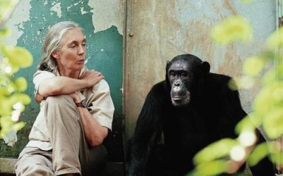 Jane Goodall asegura que su mayor esperanza está en los jóvenes del mundo