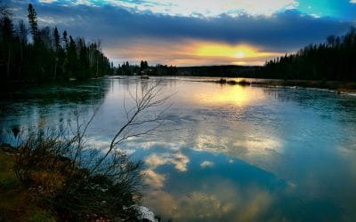 Los pilares de Respira, el programa que protege la biodiversidad