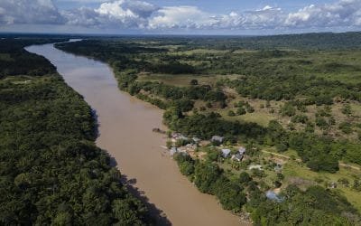 ¡Es ley! La deforestación ya es delito y será penalizada hasta con 15 años de cárcel