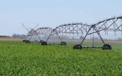 Afán por producir está acabando con el planeta