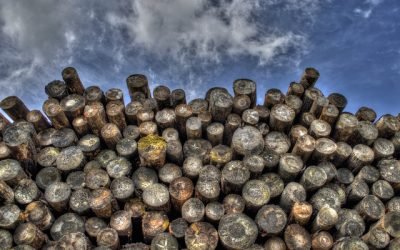 Se aceleró la deforestación en Brasil