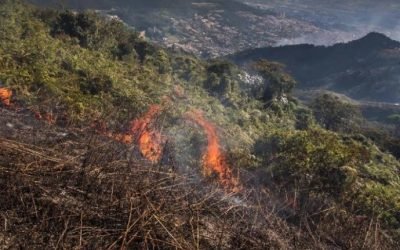 Alertan en Medellín por posible aumento de incendios forestales