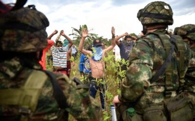 Operación contra delitos ambientales permitió arresto de 225 personas en nueve países