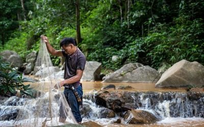 ONG exigen acabar con la sobrepesca