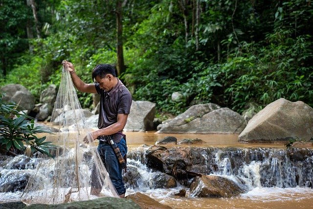 ONG exigen acabar con la sobrepesca