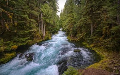 Estudio revela el papel del paisaje en emisiones de metano de ríos y arroyos