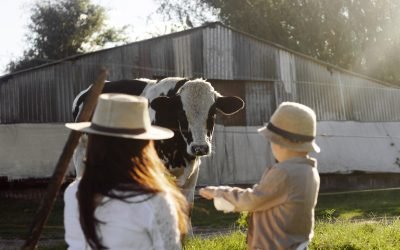 Día Internacional del Veganismo: Un compromiso con los animales