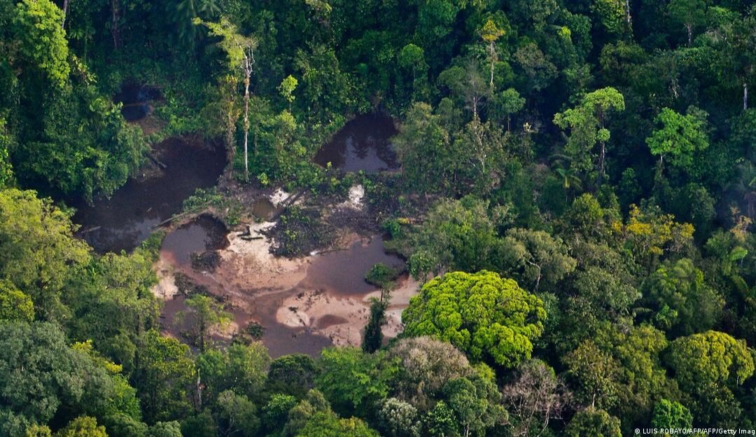 El mercurio que arroja la minería ilegal causa un desastre ambiental en la Amazonía