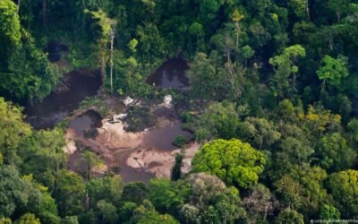 El mercurio que arroja la minería ilegal causa un desastre ambiental en la Amazonía
