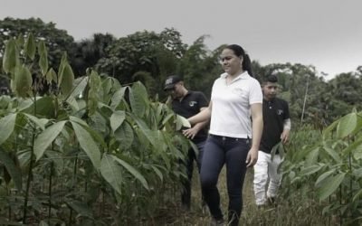 Educación ambiental, experiencias de éxitos en la Amazonía