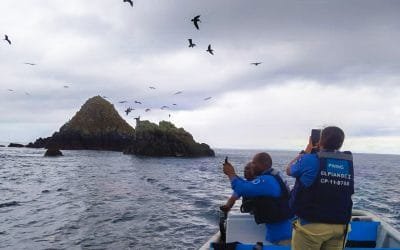 El Parque Nacional Natural Gorgona, con seguimiento a las aves marinas