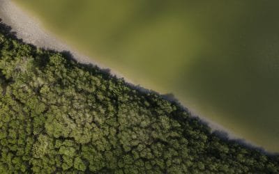 “En esta legislatura, estamos presentando un nuevo modelo de crecimiento verde”: Presidente Duque