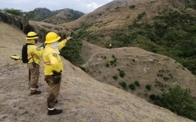 Los países de la Amazonía ya tienen un Protocolo para el Manejo de Incendios Forestales