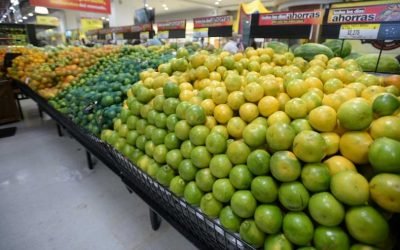 Colombia alista primera exportación de naranja a República Dominicana