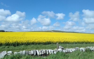 Parlamento Europeo aprueba la Ley de Restauración de la Naturaleza