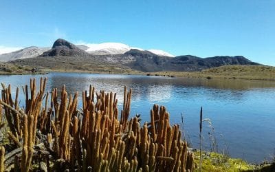 El Parque Nacional Natural Los Nevados se une a la apertura de las áreas protegidas con ecoturismo del país