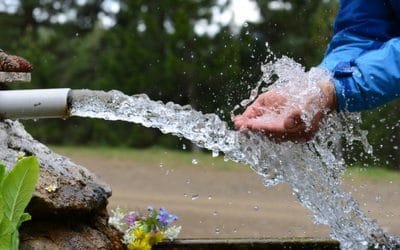 Llegada del agua a Wall Street, ¿Una señal de alerta para la humanidad?