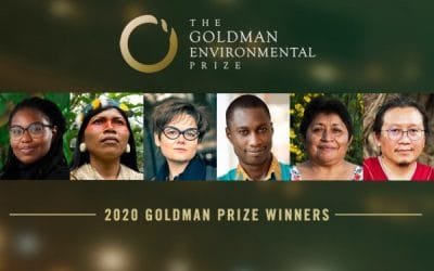 Listos los ganadores de los premios Nobel del medioambiente