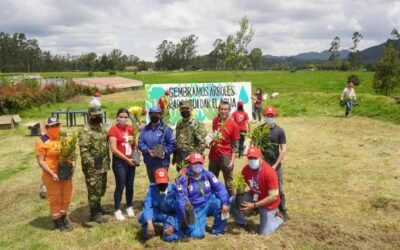Minambiente, Bavaria, Ejército y ProColombia siembran más de 60 mil árboles en nueve regiones