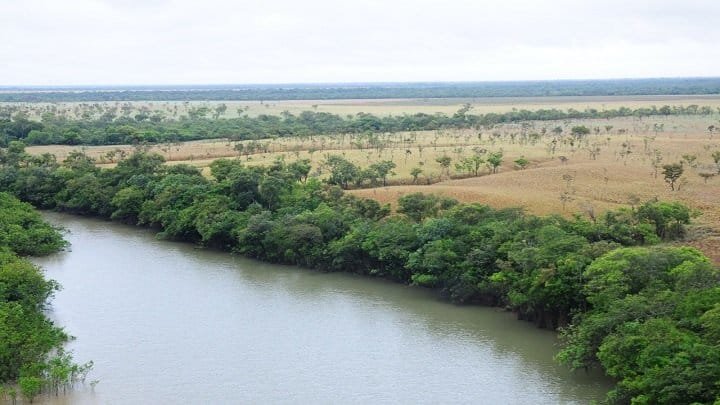 GEF Orinoquía, un proyecto para la restauración ecológica de ecosistemas