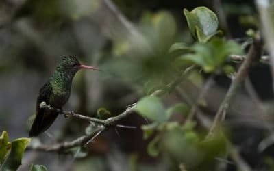 Minambiente lamenta destrozos ocurridos en el Jardín Botánico de Medellín