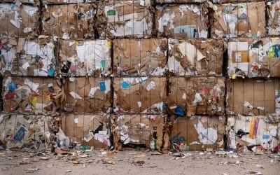 Estudio replantea forma de reciclar papel para reducir emisiones