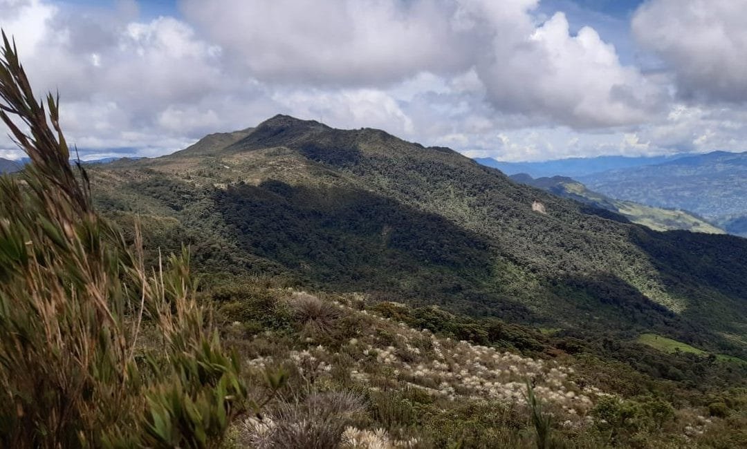 De recorrido por Cundinamarca, el viceministro Galarza visitó proyectos de educación ambiental