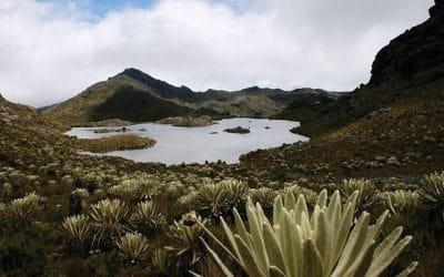 Agua, elemento de vida y arma contra la pandemia