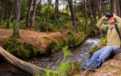 El Parque Arví tendrá sendero universal que fortalece su visión como atractivo turístico