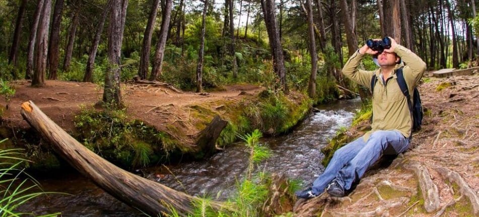 El Parque Arví tendrá sendero universal que fortalece su visión como atractivo turístico