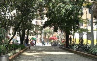Alcaldía de Medellín adelanta intervención paisajística en seis parques