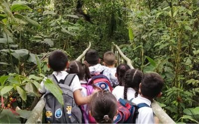 Vuelven los niños a los Parques Nacionales Naturales