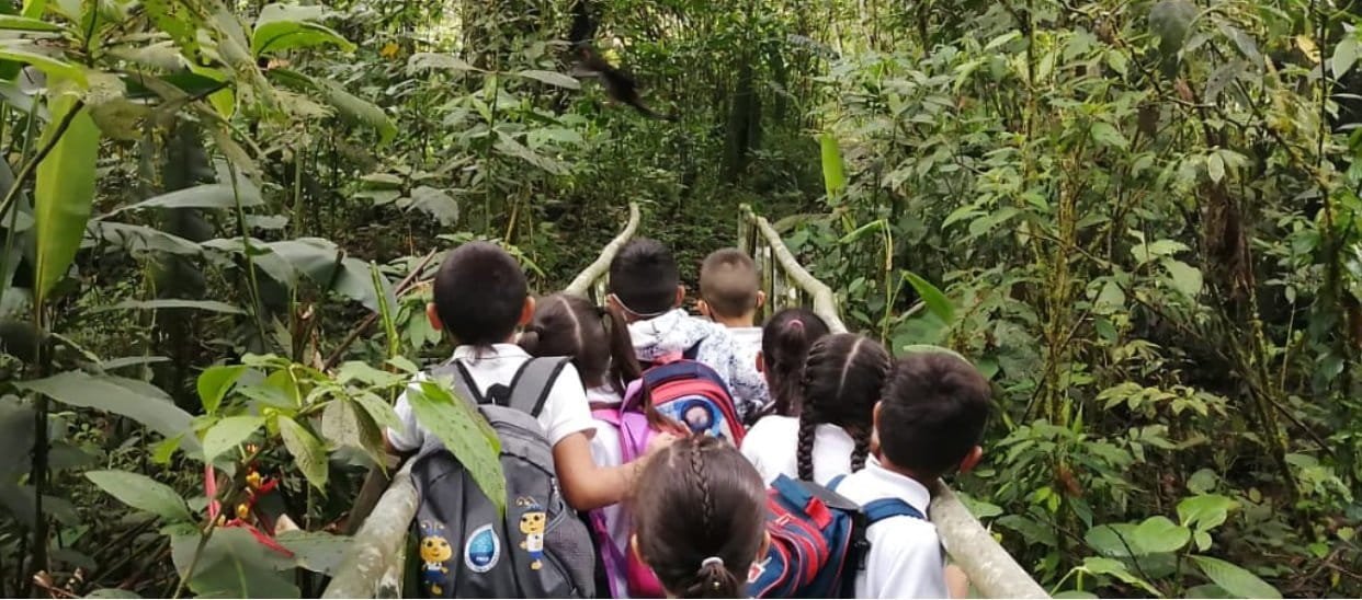 Vuelven los niños a los Parques Nacionales Naturales