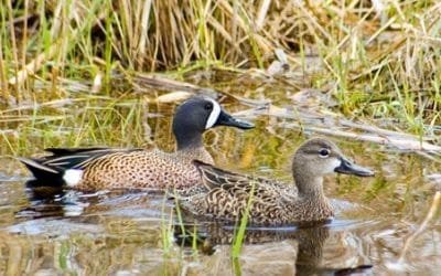 Parques Nacionales Naturales de Colombia cumplió 60 años