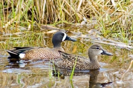 Parques Nacionales Naturales de Colombia cumplió 60 años