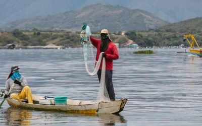 Apoyan a más de 20 mil familias dedicadas a la pesca y la acuicultura