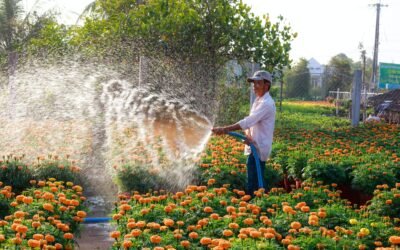 ¿Cuál es el papel de la agricultura en el mantenimiento de la biodiversidad?