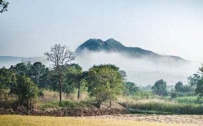 Día mundial del Medio ambiente: Biodiversidad y conservación del patrimonio natural