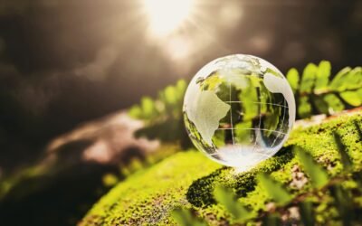 Asamblea de ONU para el Medio Ambiente impulsará soluciones sostenibles para un planeta resiliente