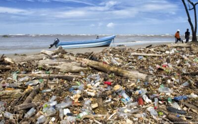 Esta es la cantidad de plásticos que arrastran los ríos del mundo a los océanos