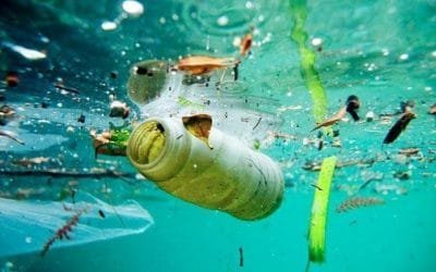 Instan a mantener ambición sobre tratado para poner fin a contaminación por plástico