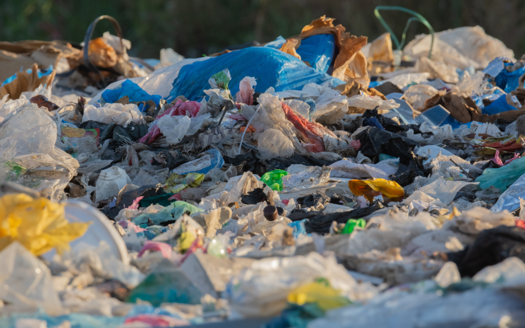 Piden la prohibición mundial de los plásticos de un solo uso