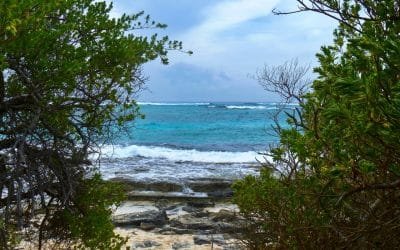 Minambiente invita a seguir recomendaciones para cuidado del medio ambiente con reapertura de playas