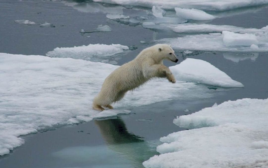 Preocupa el deshielo en el Ártico: nuevo récord este mes